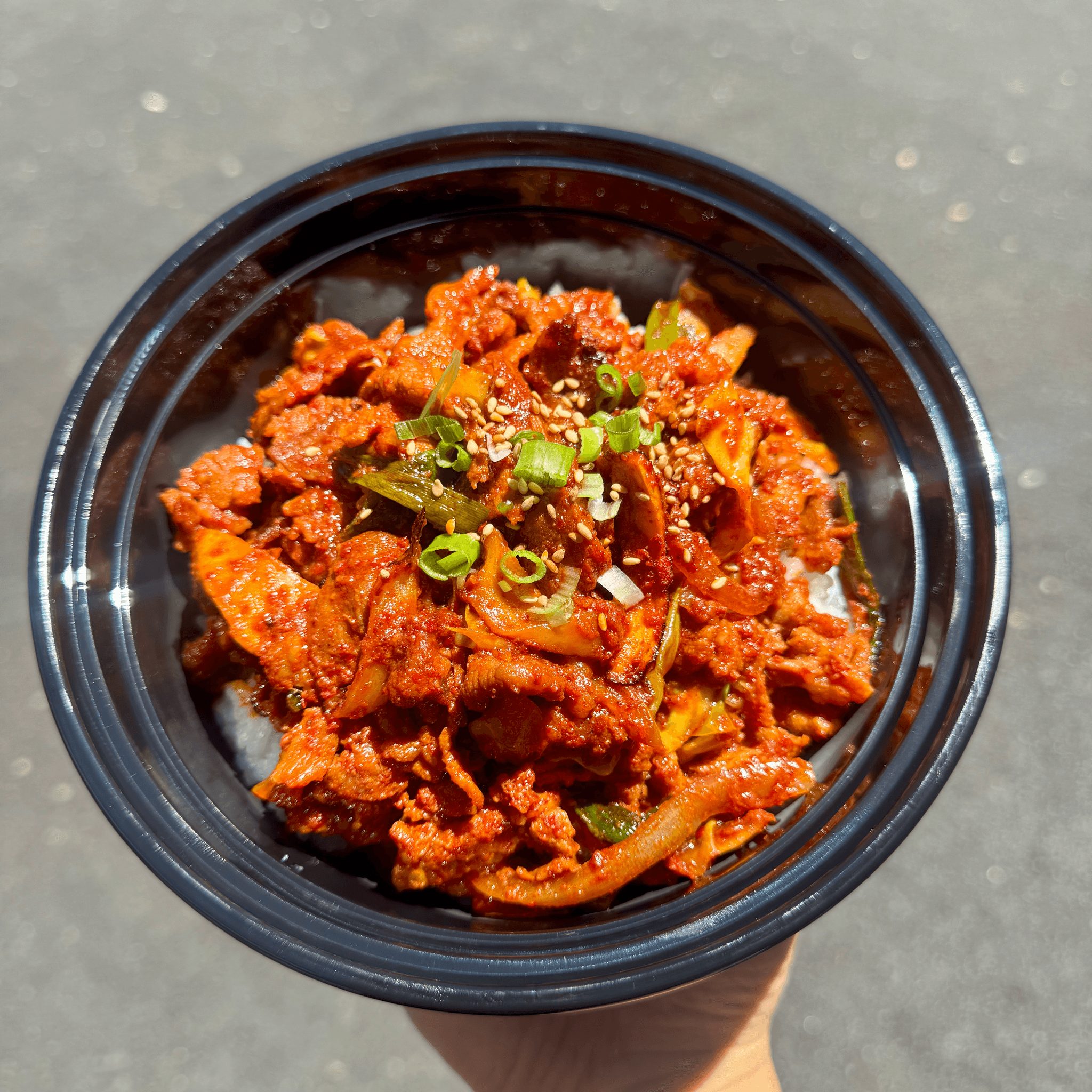 Spicy Pork Donburi.